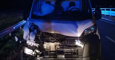 Jeleń wbiegł pod dostawczą toyotę. Kierowca bez poważnych obrażeń